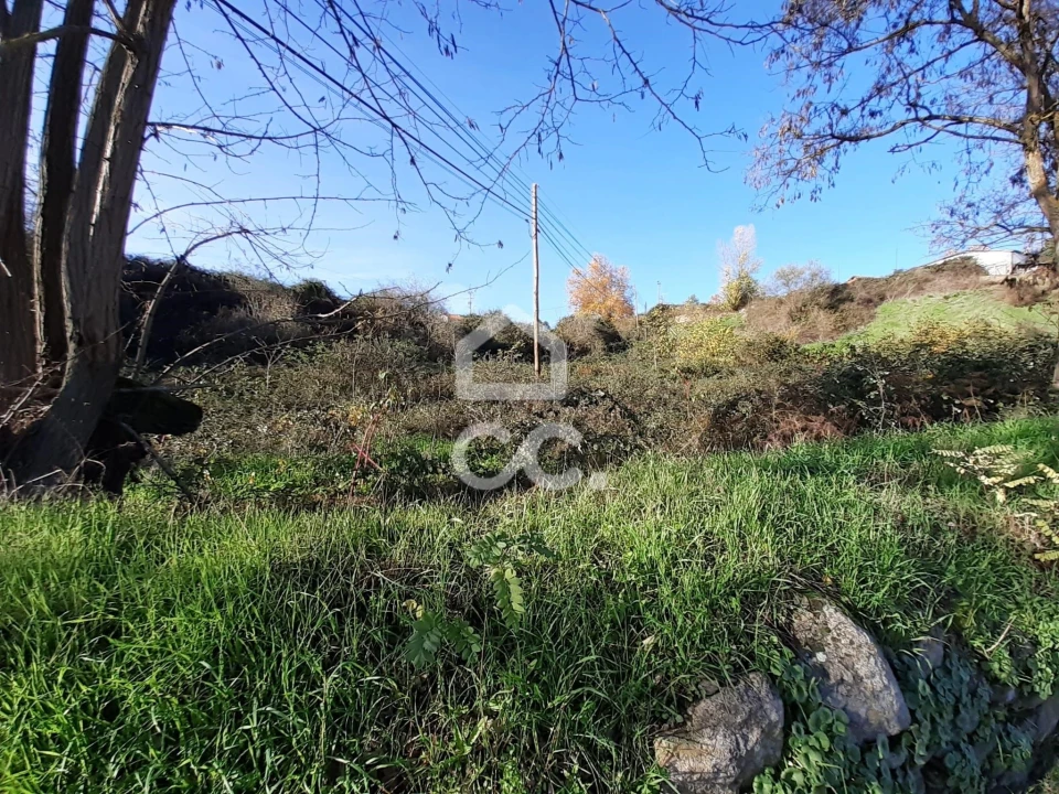 Terreno para Venda em Santa Maria Maior Foto 6