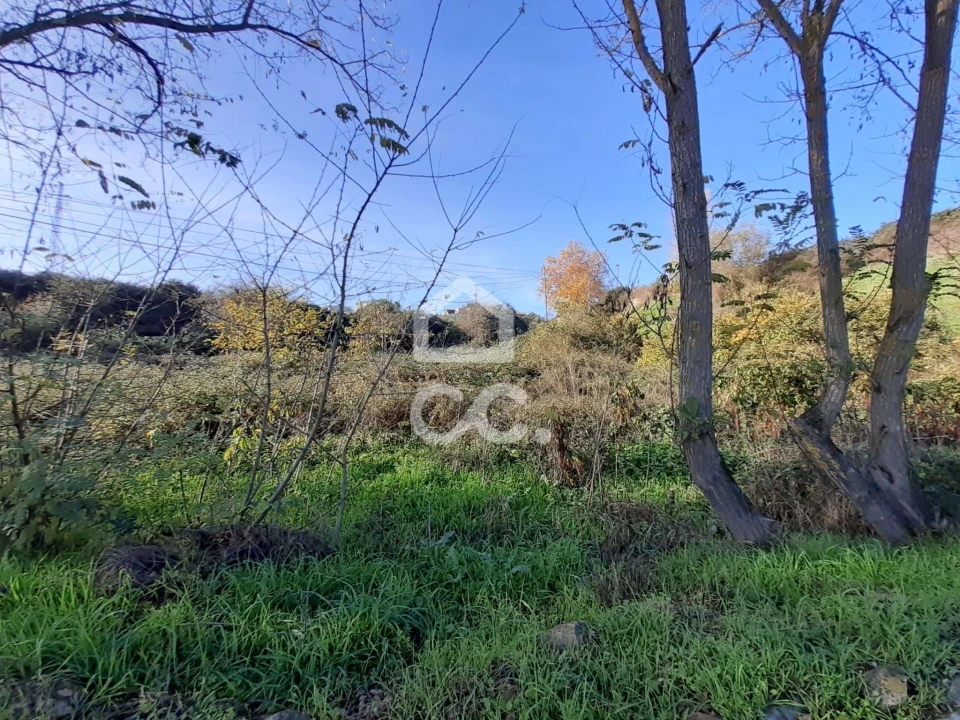 Terreno para Venda em Santa Maria Maior Foto 5
