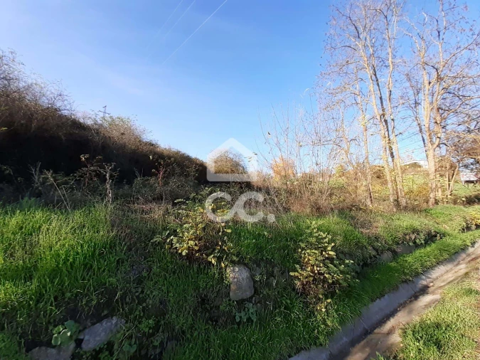 Terreno para Venda em Santa Maria Maior Foto 10
