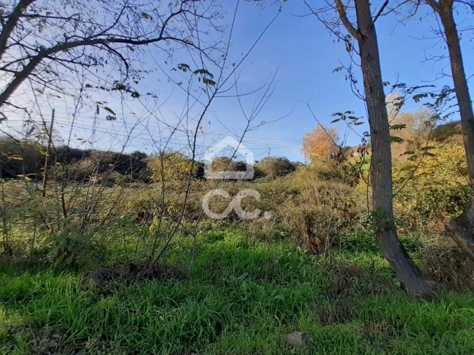 Terreno para Venda em Santa Maria Maior Foto 3