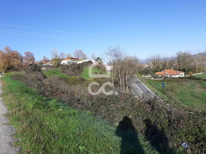 Terreno para Venda em Santa Maria Maior Foto 12
