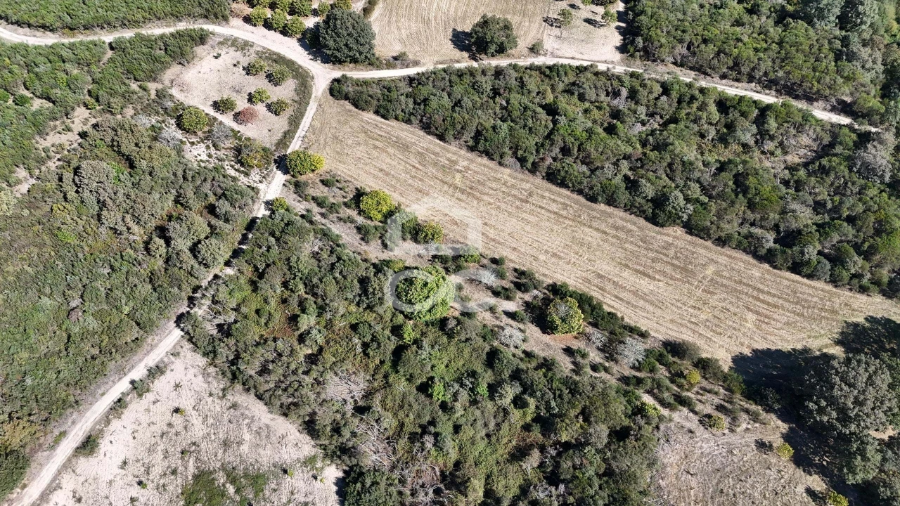 Terreno para Venda em São Vicente Foto 5