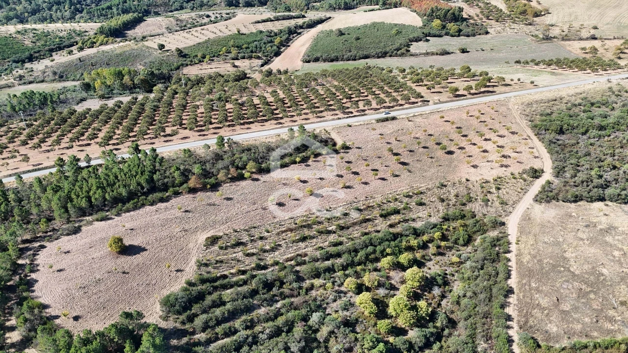 Terreno para Venda em São Vicente Foto 19