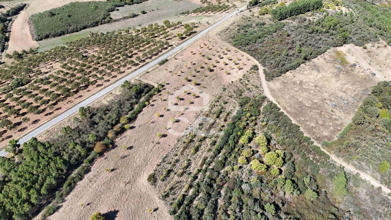 Terreno para Venda em São Vicente Foto 17
