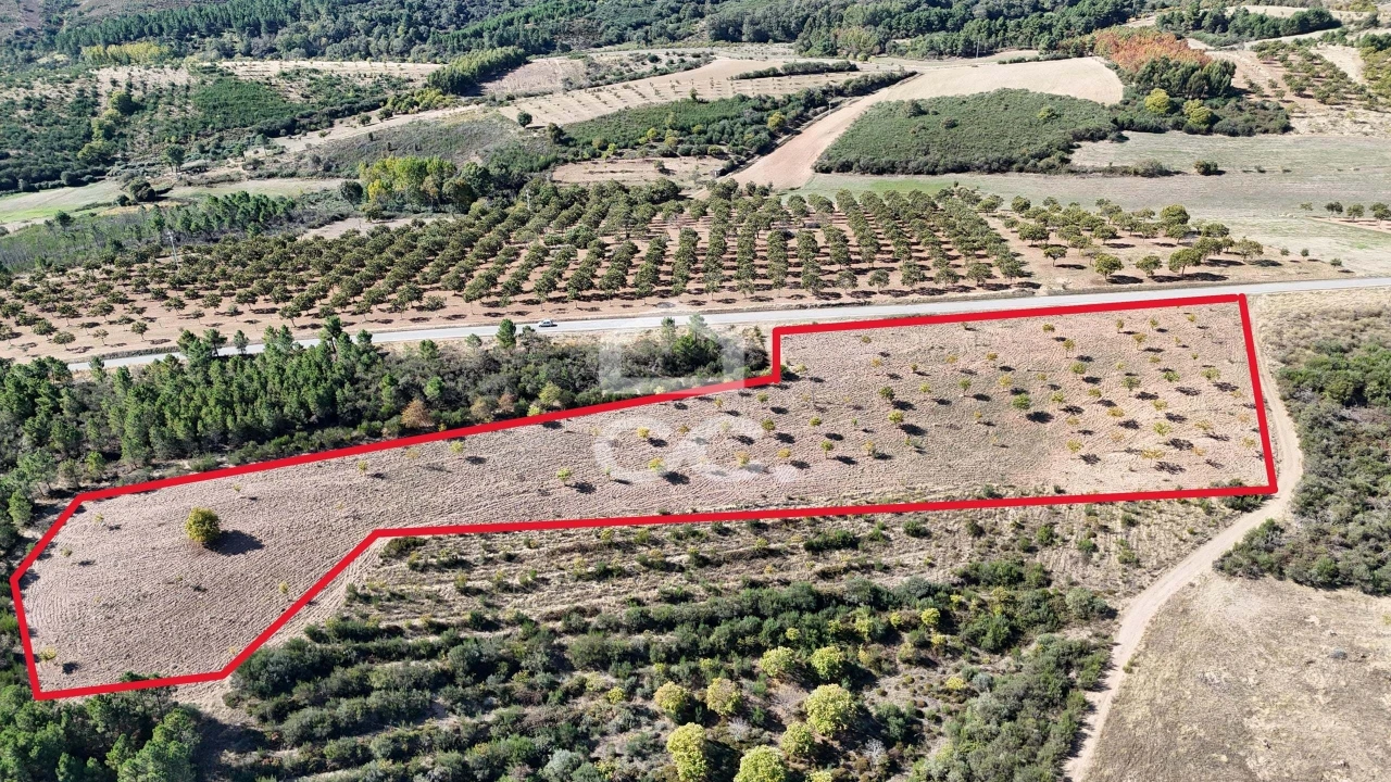 Terreno para Venda em São Vicente Foto 16