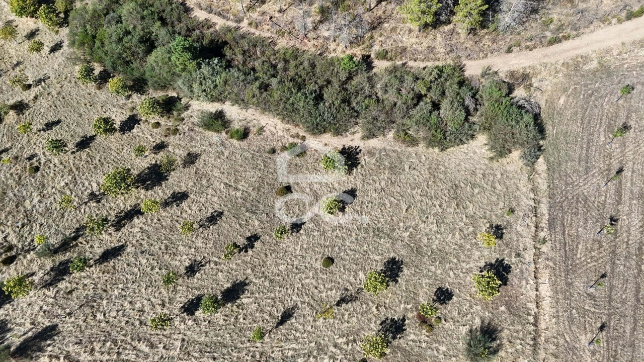 Terreno para Venda em São Vicente Foto 13