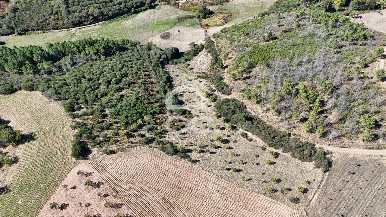 Terreno para Venda em São Vicente Foto 8