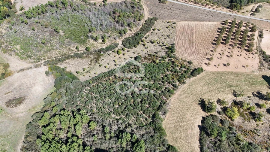 Terreno para Venda em São Vicente Foto 9