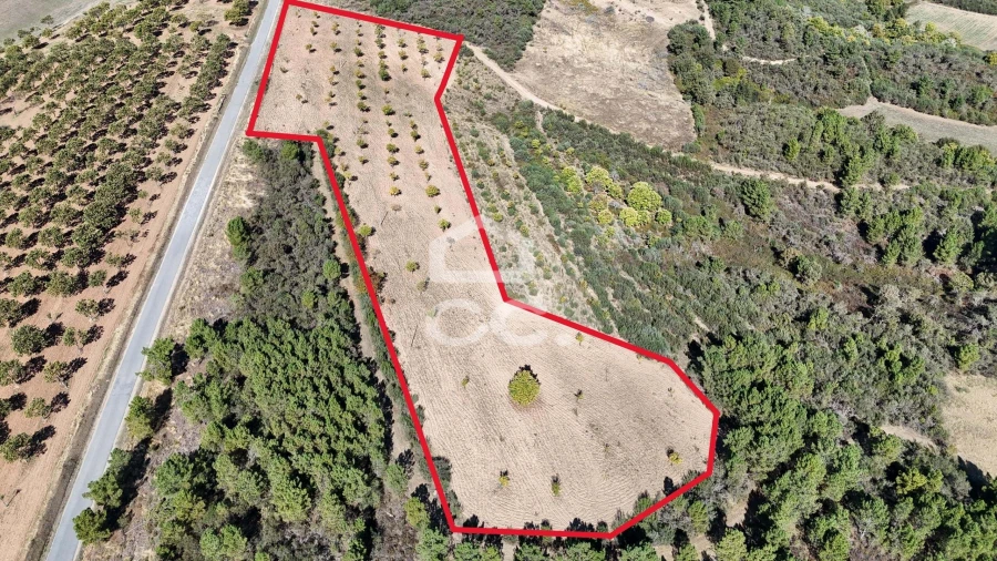 Terreno para Venda em São Vicente Foto 15