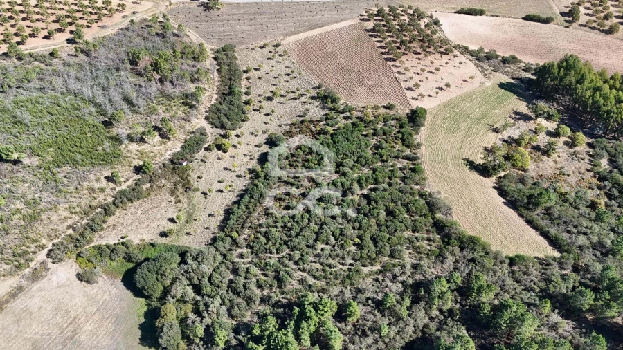 Terreno para Venda em São Vicente Foto 10