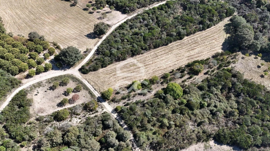 Terreno para Venda em São Vicente Foto 4