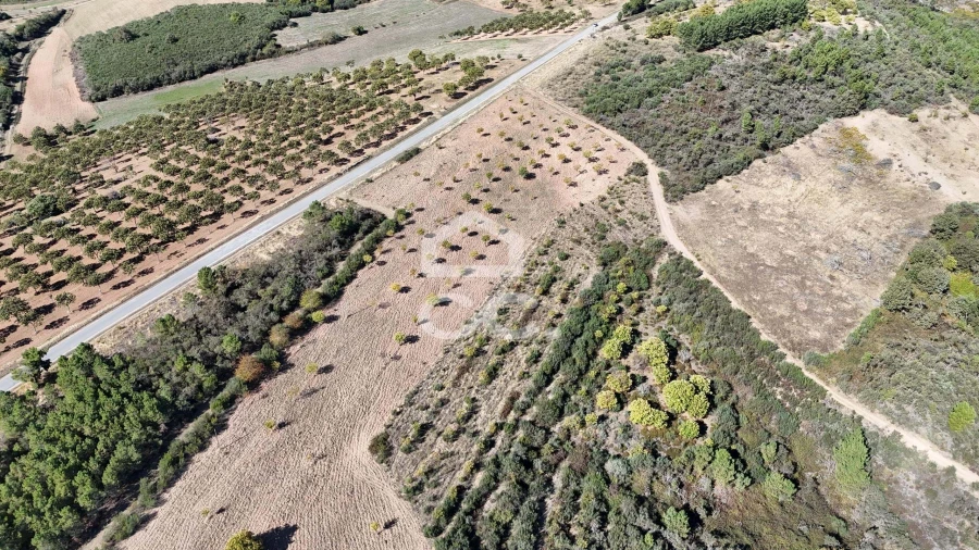 Terreno para Venda em São Vicente Foto 17