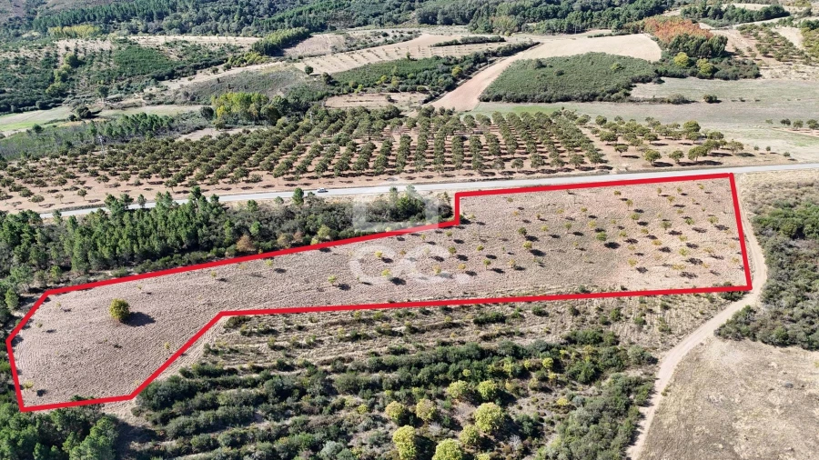 Terreno para Venda em São Vicente Foto 16