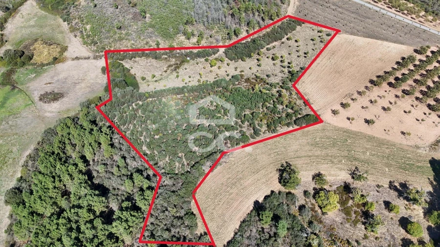 Terreno para Venda em São Vicente Foto 7