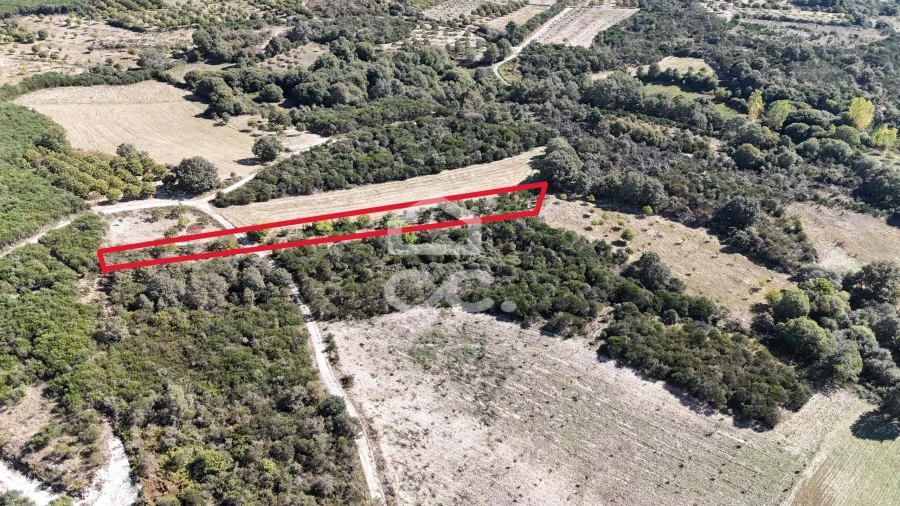 Terreno para Venda em São Vicente Foto 2