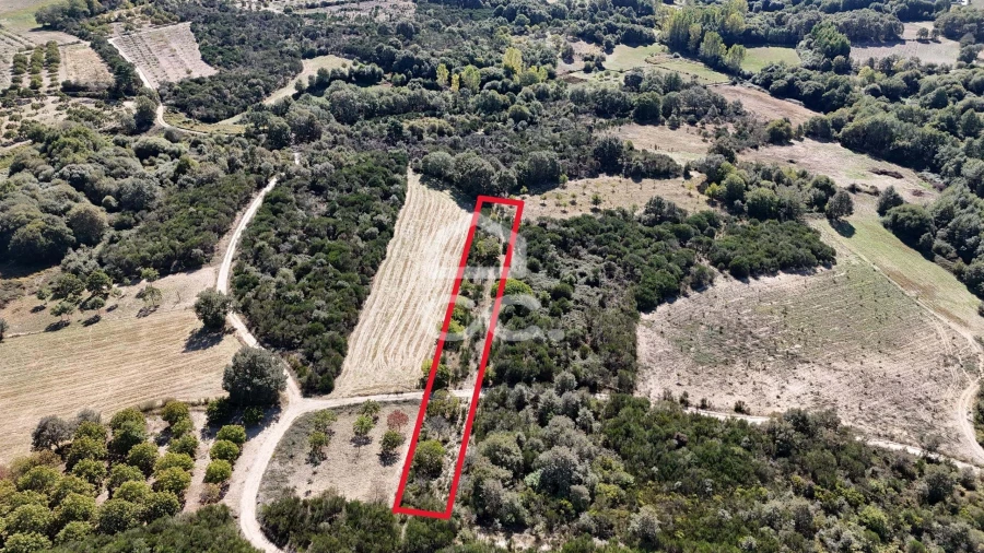 Terreno para Venda em São Vicente Foto 3