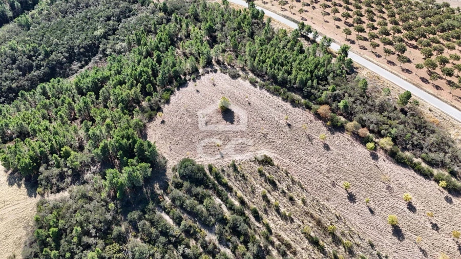 Terreno para Venda em São Vicente Foto 20