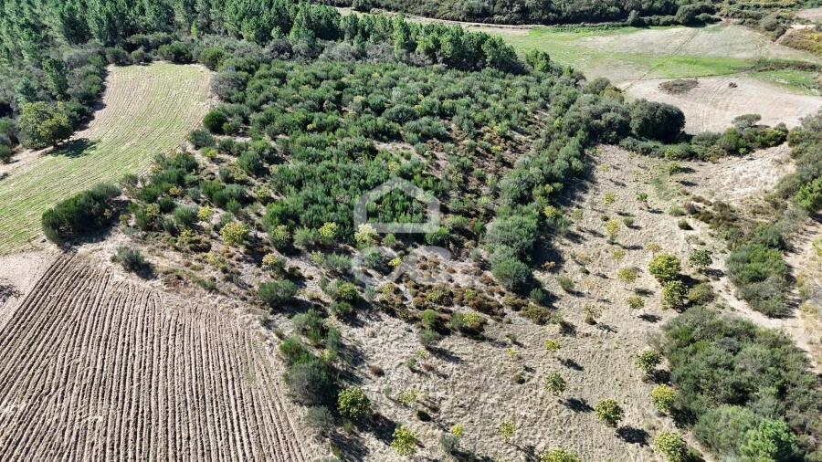 Terreno para Venda em São Vicente Foto 12