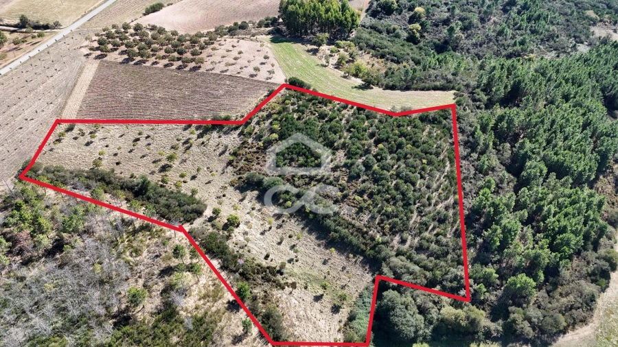 Terreno para Venda em São Vicente