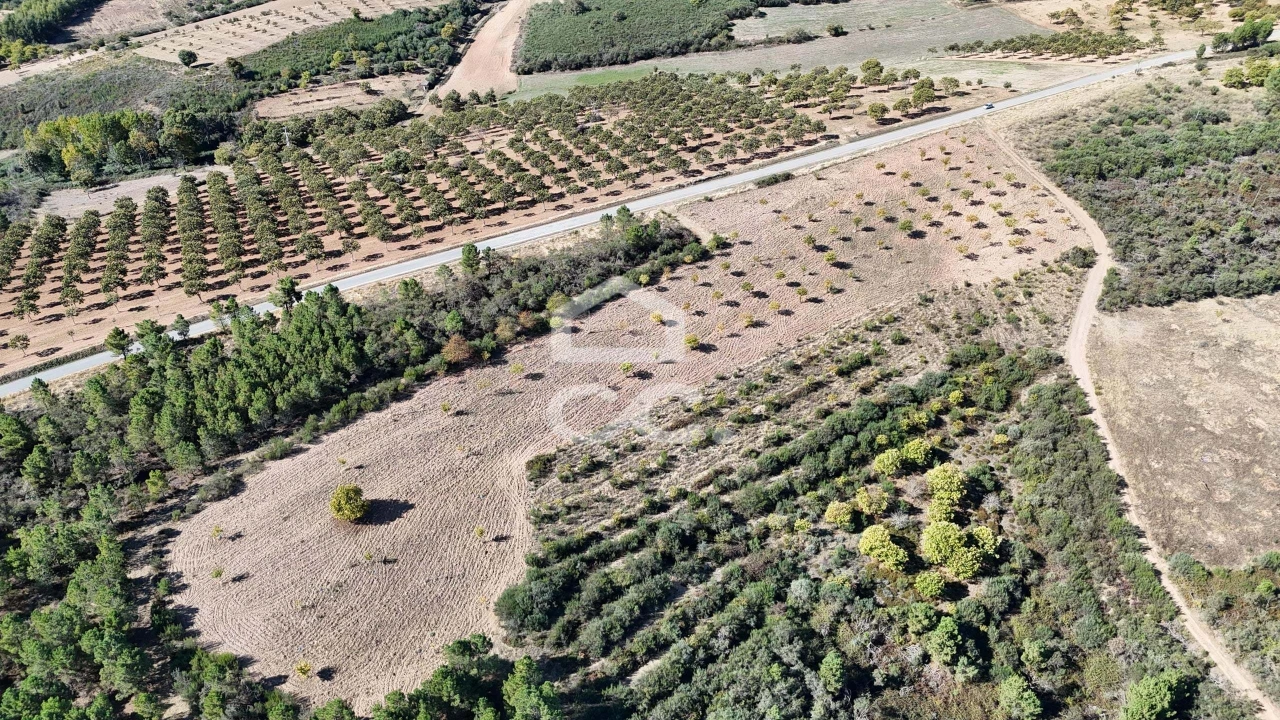 Terreno para Venda em São Vicente Foto 18