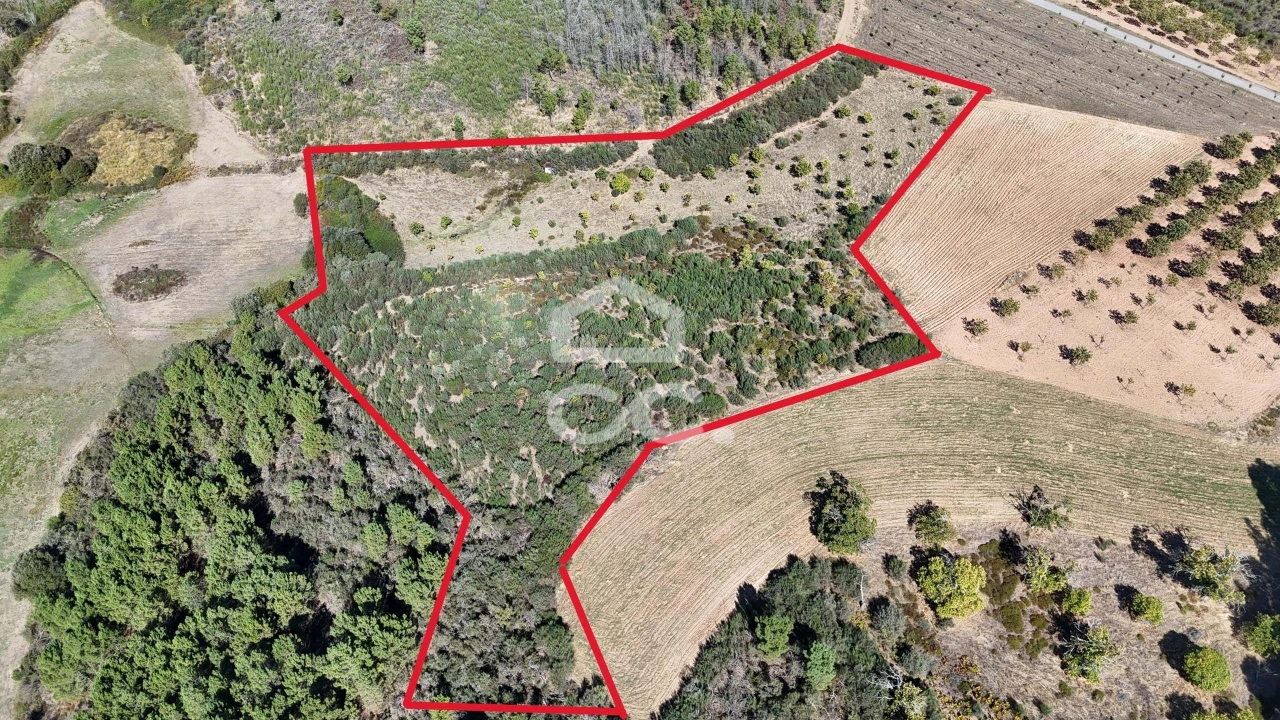 Terreno para Venda em São Vicente Foto 7