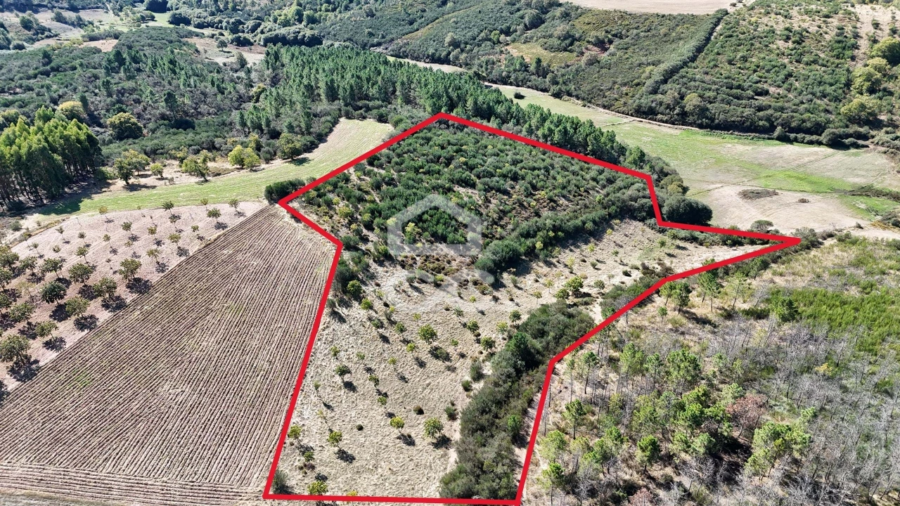 Terreno para Venda em São Vicente Foto 6