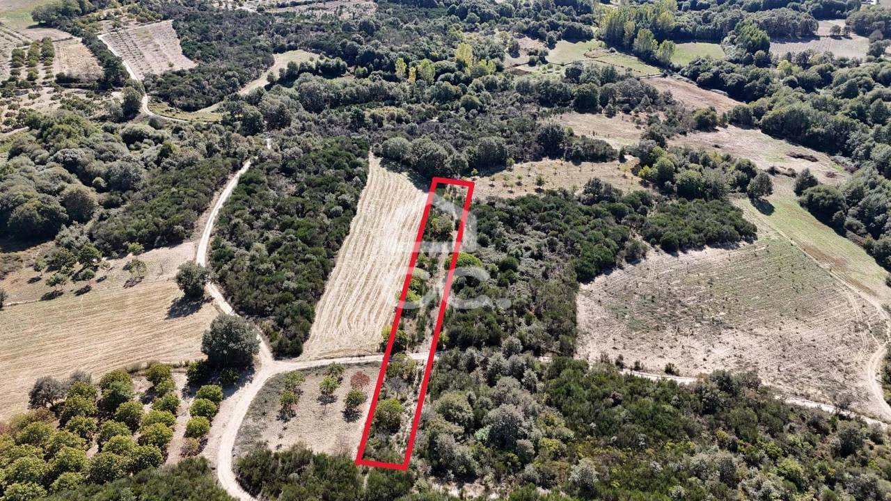 Terreno para Venda em São Vicente Foto 3