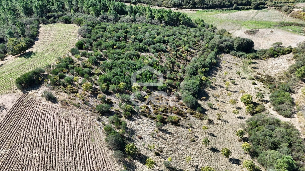 Terreno para Venda em São Vicente Foto 12