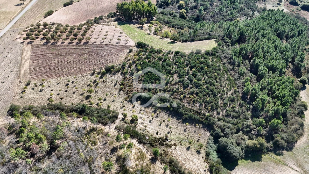 Terreno para Venda em São Vicente Foto 11