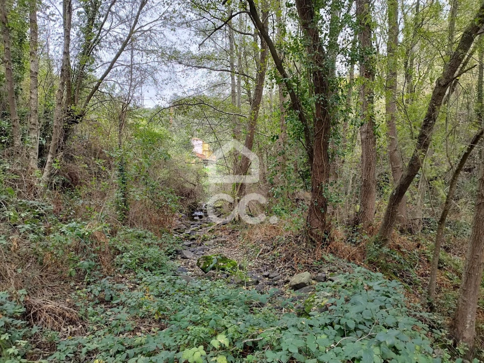 Terreno para Venda em Eiras, São Julião de Montenegro e Cela Foto 16