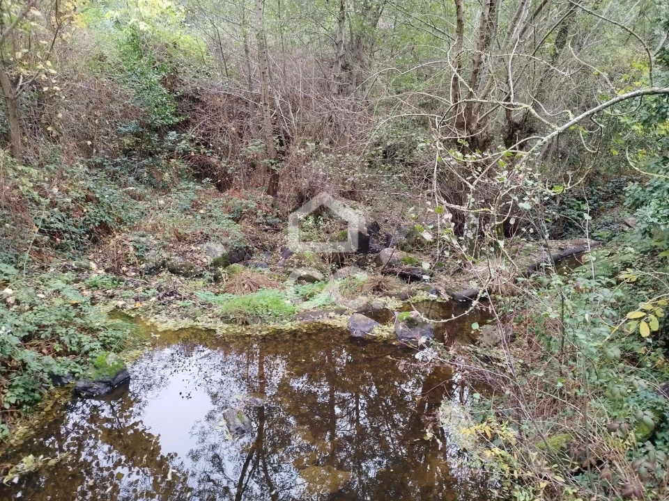 Terreno para Venda em Eiras, São Julião de Montenegro e Cela Foto 19
