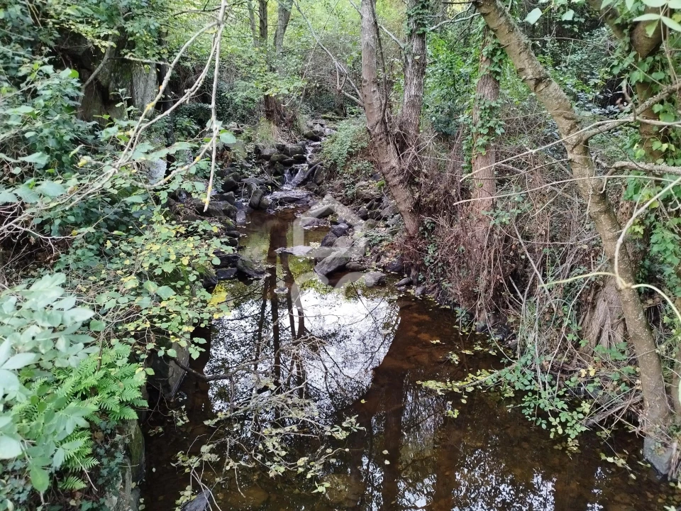Terreno para Venda em Eiras, São Julião de Montenegro e Cela Foto 18