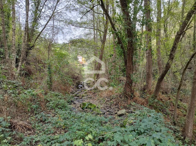 Terreno para Venda em Eiras, São Julião de Montenegro e Cela Foto 16