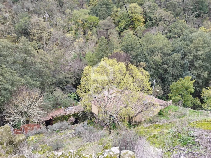 Terreno para Venda em Eiras, São Julião de Montenegro e Cela Foto 12