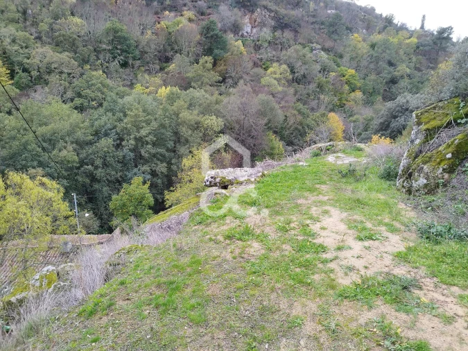 Terreno para Venda em Eiras, São Julião de Montenegro e Cela Foto 14