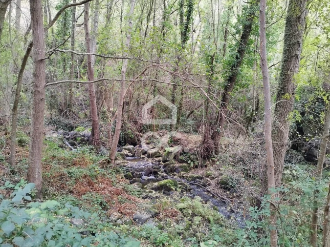 Terreno para Venda em Eiras, São Julião de Montenegro e Cela Foto 17