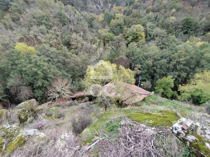 Terreno para Venda em Eiras, São Julião de Montenegro e Cela Foto 11