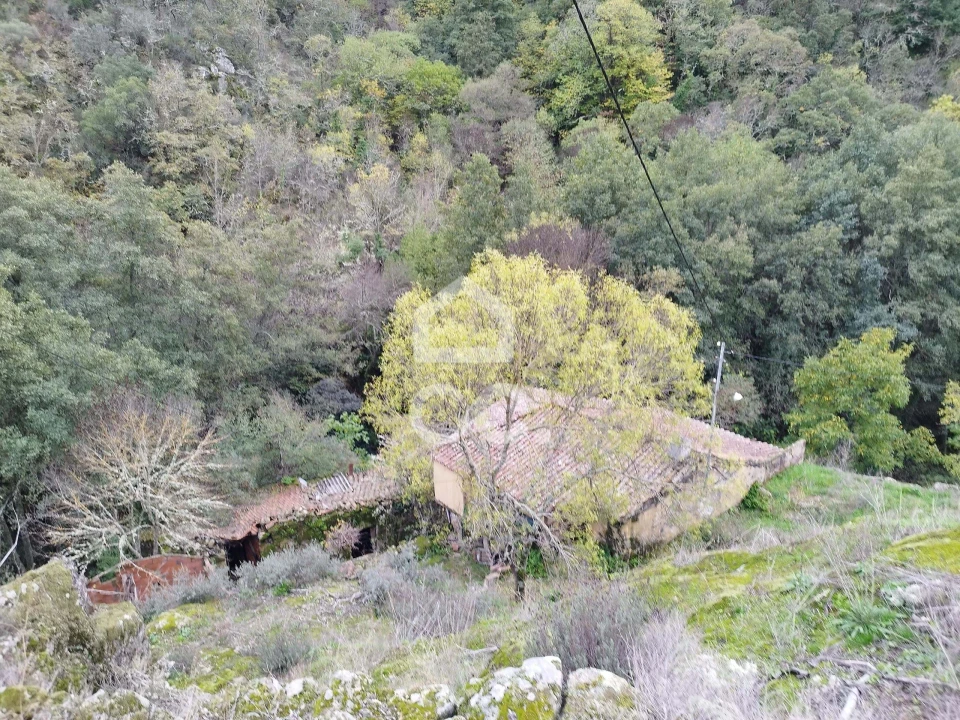 Terreno para Venda em Eiras, São Julião de Montenegro e Cela Foto 13