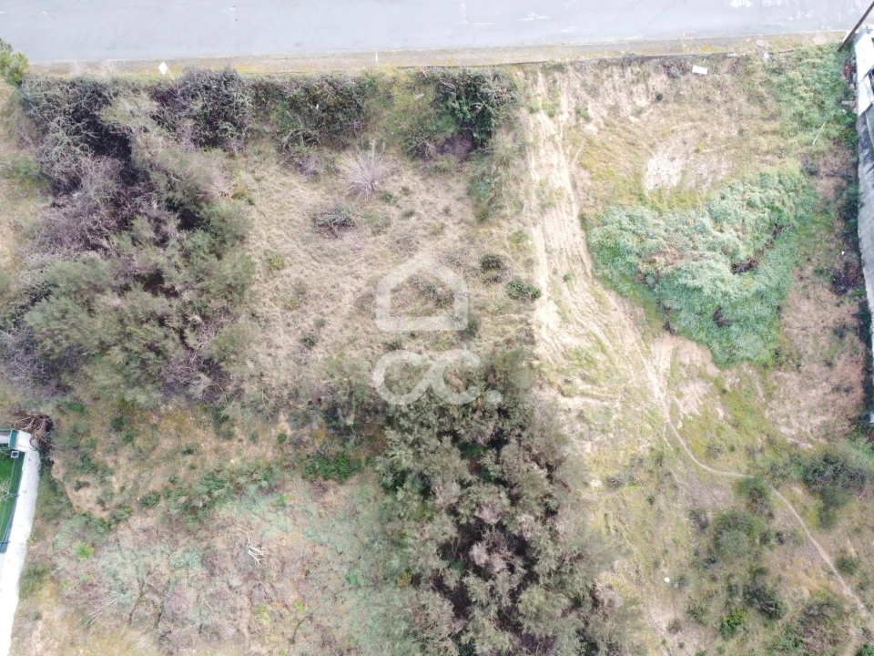 Terreno para Venda em Santa Maria Maior Foto 11