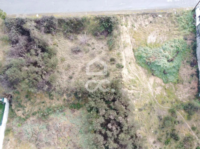 Terreno para Venda em Santa Maria Maior Foto 13