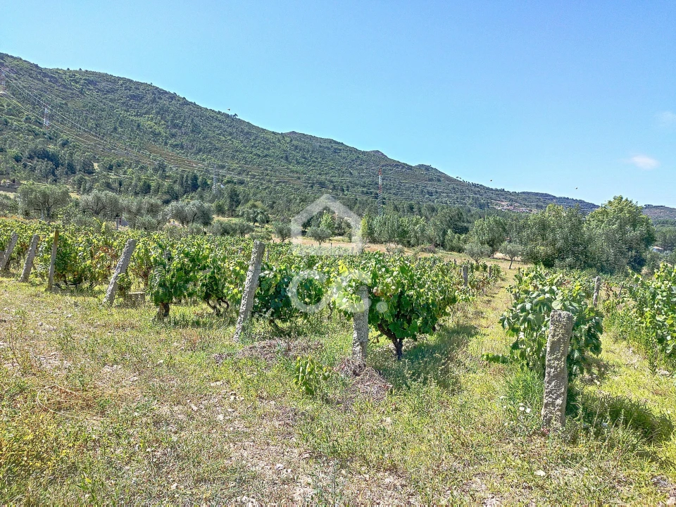 Terreno para Venda em Vilar de Nantes Foto 14