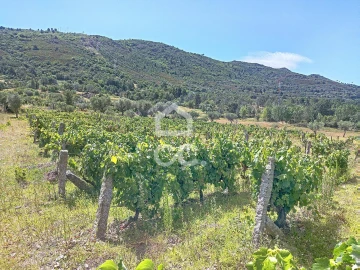 Terreno para Venda em Vilar de Nantes