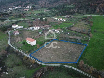 Terreno para Venda em Vilar de Nantes