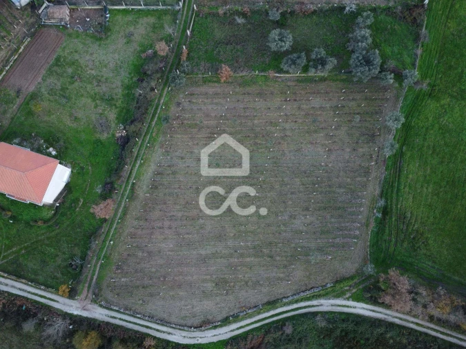 Terreno para Venda em Vilar de Nantes Foto 4