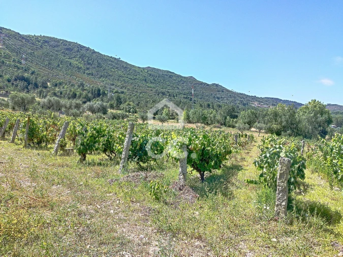 Terreno para Venda em Vilar de Nantes Foto 14