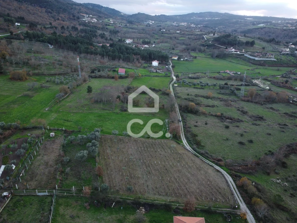 Terreno para Venda em Vilar de Nantes Foto 6