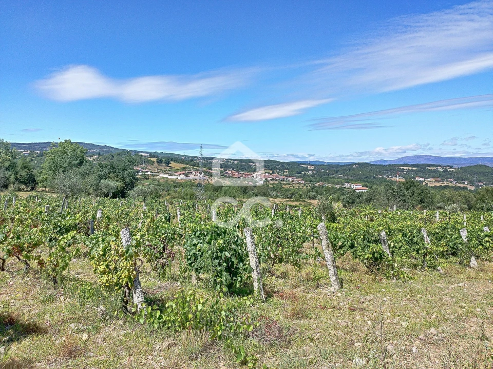 Terreno para Venda em Vilar de Nantes Foto 15