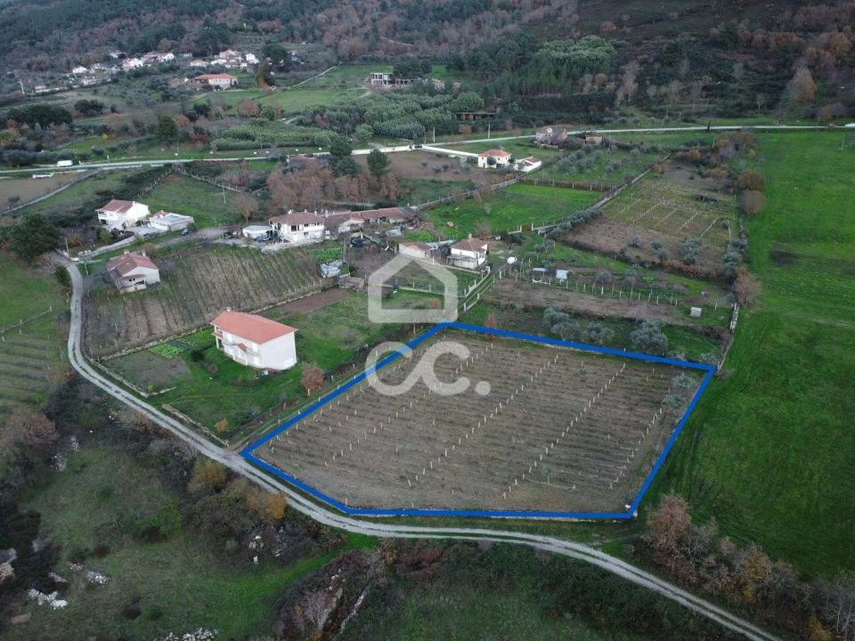 Terreno para Venda em Vilar de Nantes Foto 1
