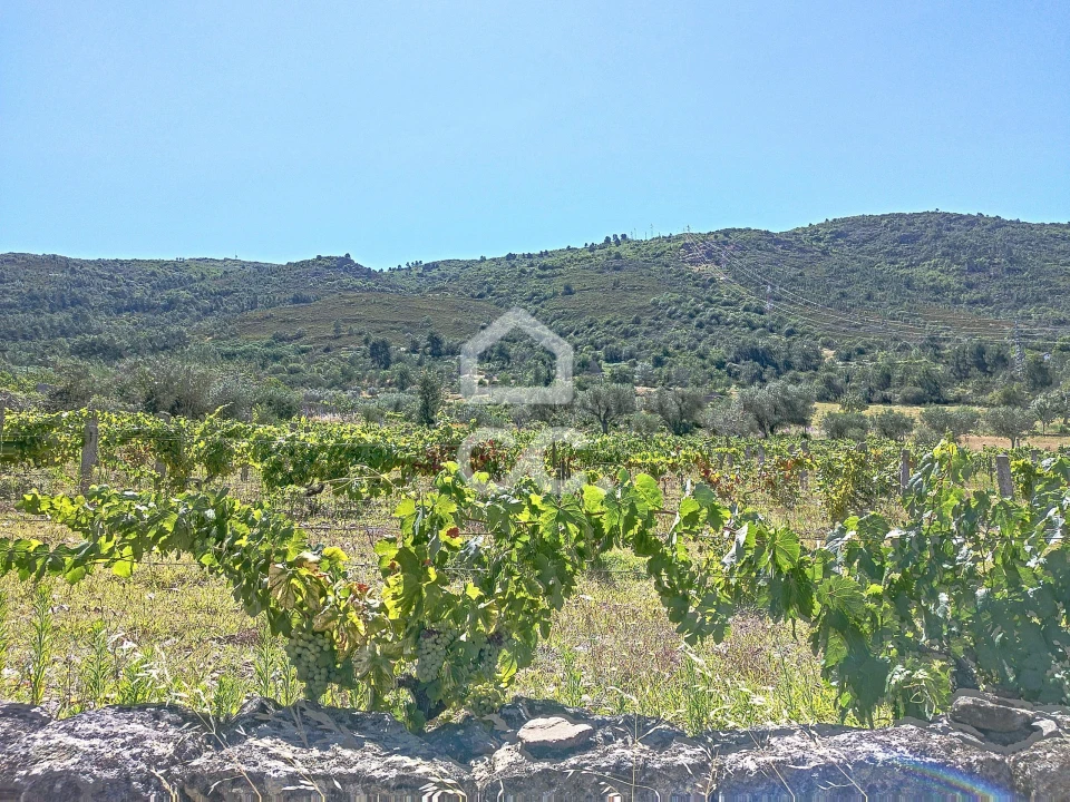 Terreno para Venda em Vilar de Nantes Foto 12