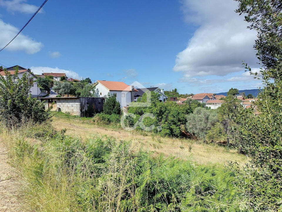 Terreno para Venda em São Pedro de Agostem Foto 5